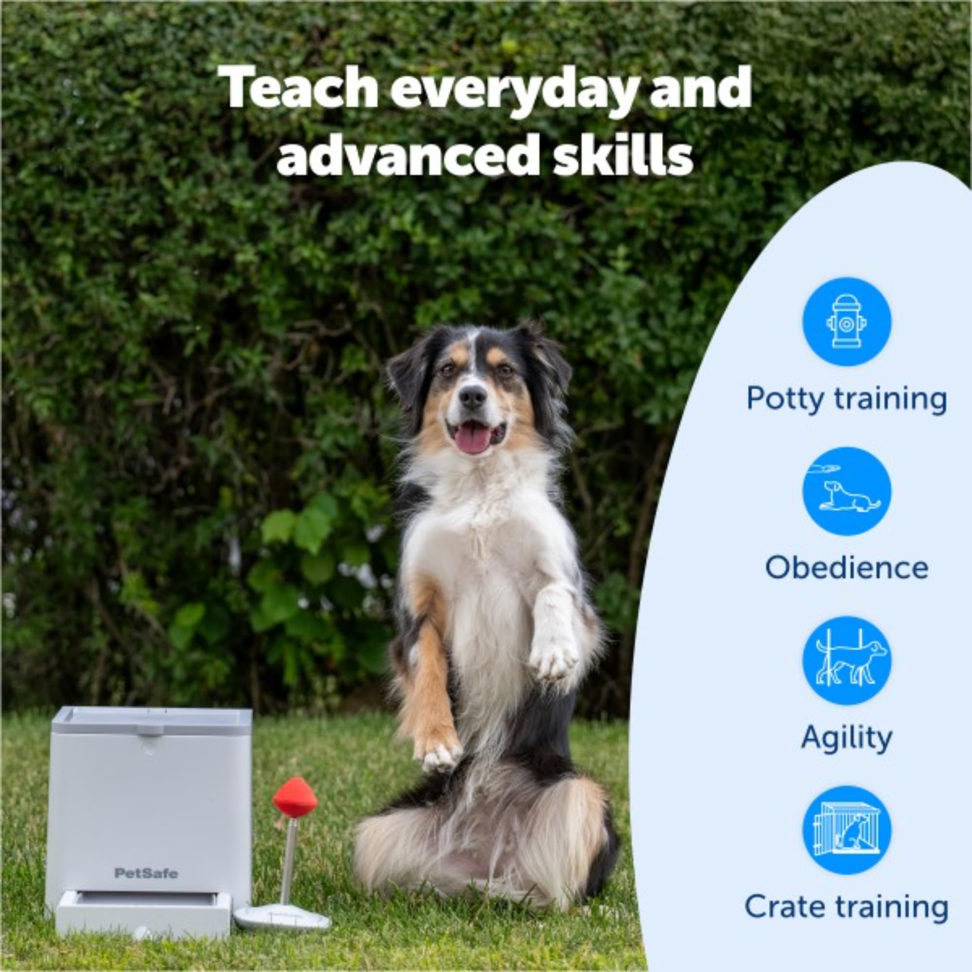 しつけ用品 Teach and Treat Remote Reward Trainer PetSafe Teach and Treat Remote Control Dog Reward Trainer Training
